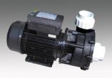 LX LP200/LP250/LP300 Spa Pump