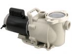 LX Swimming Pool Pump 56SFP