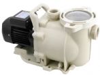 LX Swimming Pool Pump SFP