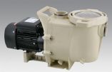 LX Swimming Pool Pump SWPB100 SWPB150 SWPB200 SWPB250 SWPB300